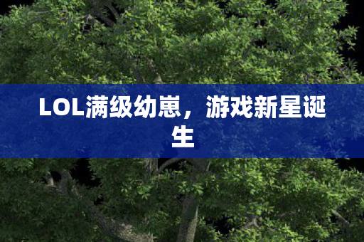 LOL满级幼崽,游戏新星诞生 LOL满级幼崽,游戏新星诞生