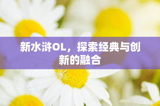 新水浒OL,探索经典与创新的融合 新水浒OL,探索经典与创新的融合