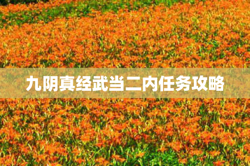 九阴真经武当二内任务攻略