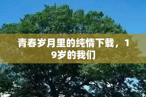 青春岁月里的纯情下载,19岁的我们 青春岁月里的纯情下载,19岁的我们