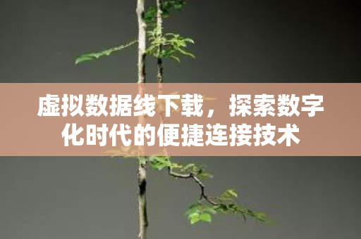 虚拟数据线下载,探索数字化时代的便捷连接技术 虚拟数据线下载,探索数字化时代的便捷连接技术