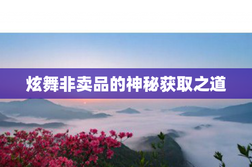 炫舞非卖品的神秘获取之道 炫舞非卖品的神秘获取之道