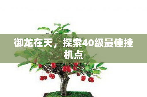 御龙在天，探索40级最佳挂机点