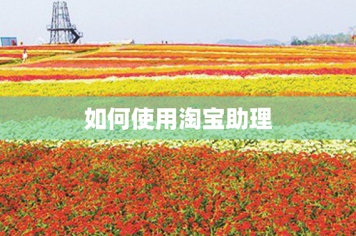 如何使用淘宝助理 如何使用淘宝助理