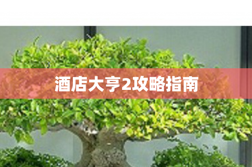 酒店大亨2攻略指南 酒店大亨2攻略指南