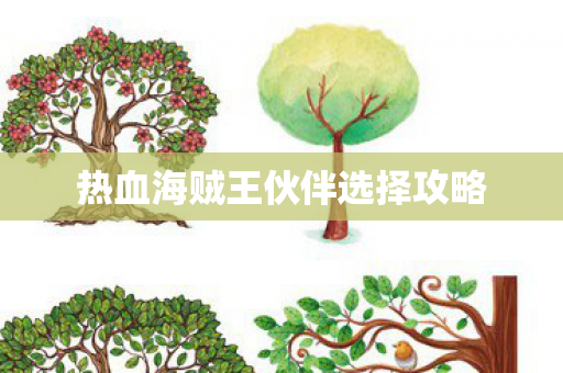热血海贼王伙伴选择攻略 热血海贼王伙伴选择攻略