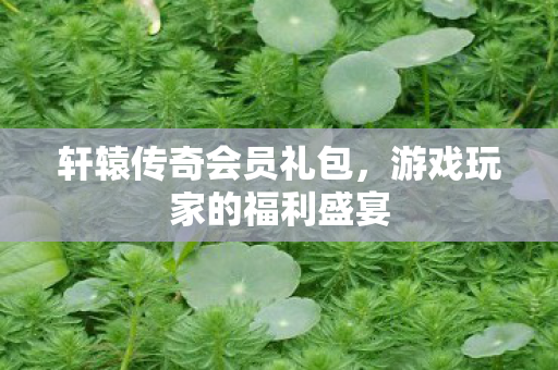 轩辕传奇会员礼包,游戏玩家的福利盛宴 轩辕传奇会员礼包,游戏玩家的福利盛宴