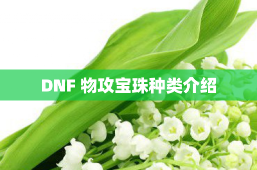 DNF 物攻宝珠种类介绍 DNF 物攻宝珠种类介绍