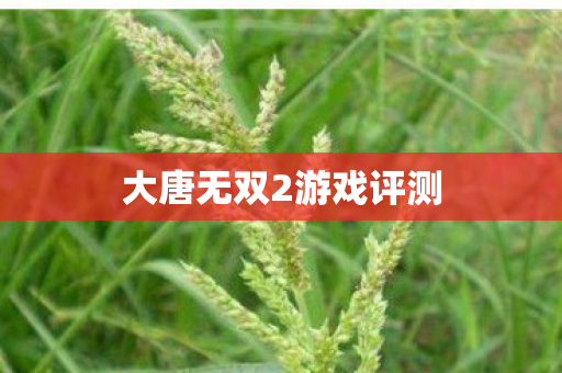 大唐无双2游戏评测 大唐无双2游戏评测