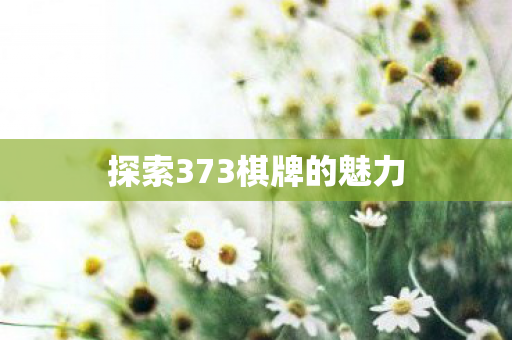 探索373棋牌的魅力 探索373棋牌的魅力