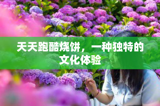 天天跑酷烧饼,一种独特的文化体验 天天跑酷烧饼,一种独特的文化体验