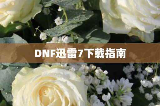 DNF迅雷7下载指南 DNF迅雷7下载指南