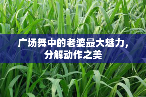 广场舞中的老婆最大魅力,分解动作之美 广场舞中的老婆最大魅力,分解动作之美