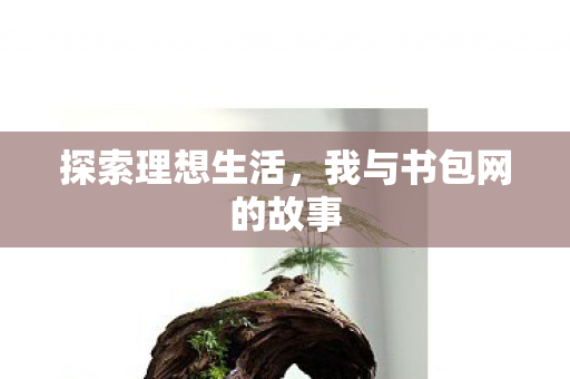 探索理想生活,我与书包网的故事 探索理想生活,我与书包网的故事