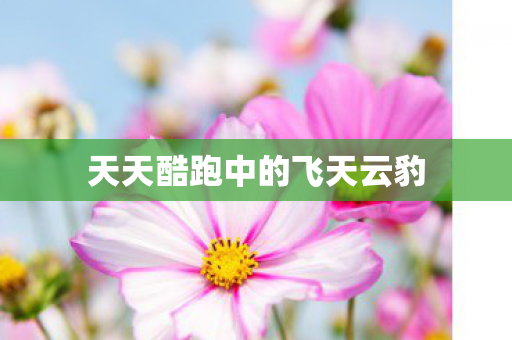 天天酷跑中的飞天云豹 天天酷跑中的飞天云豹