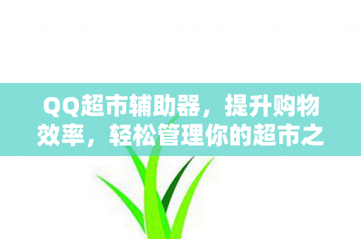 QQ超市辅助器，提升购物效率，轻松管理你的超市之旅