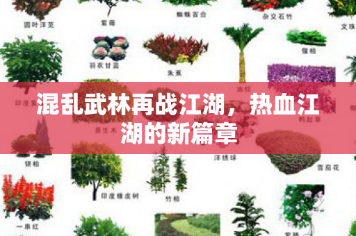 混乱武林再战江湖,热血江湖的新篇章 混乱武林再战江湖,热血江湖的新篇章