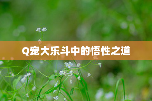 Q宠大乐斗中的悟性之道 Q宠大乐斗中的悟性之道