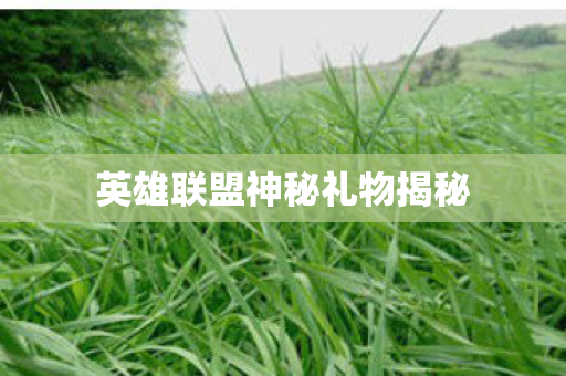 英雄联盟神秘礼物揭秘 英雄联盟神秘礼物揭秘
