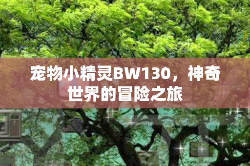 宠物小精灵BW130,神奇世界的冒险之旅 宠物小精灵BW130,神奇世界的冒险之旅