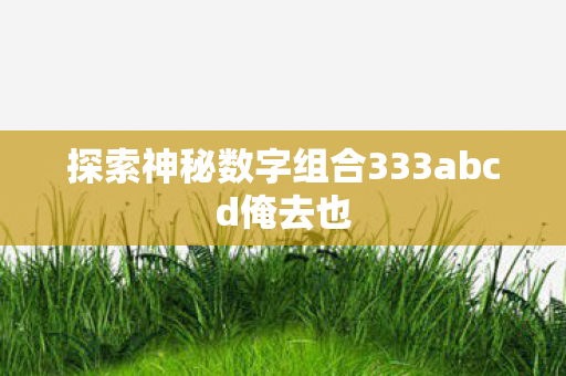 探索神秘数字组合333abcd俺去也 探索神秘数字组合333abcd俺去也