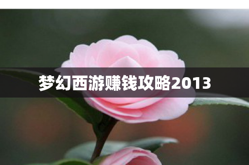 梦幻西游赚钱攻略2013 梦幻西游赚钱攻略2013