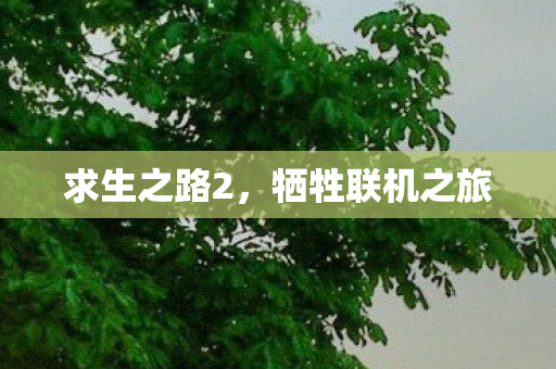 求生之路2,牺牲联机之旅 求生之路2,牺牲联机之旅