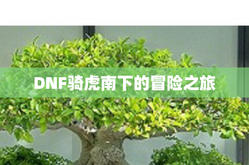 DNF骑虎南下的冒险之旅 DNF骑虎南下的冒险之旅