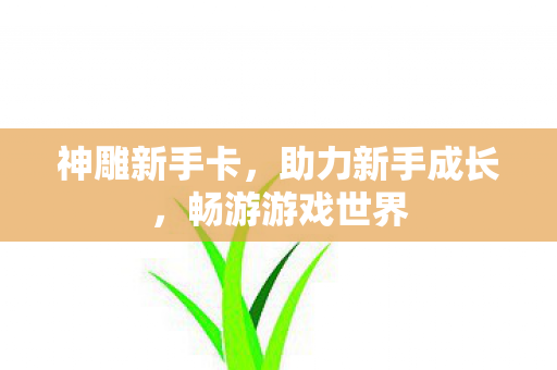 神雕新手卡,助力新手成长,畅游游戏世界 神雕新手卡,助力新手成长,畅游游戏世界