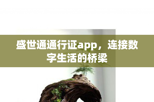 盛世通通行证app，连接数字生活的桥梁