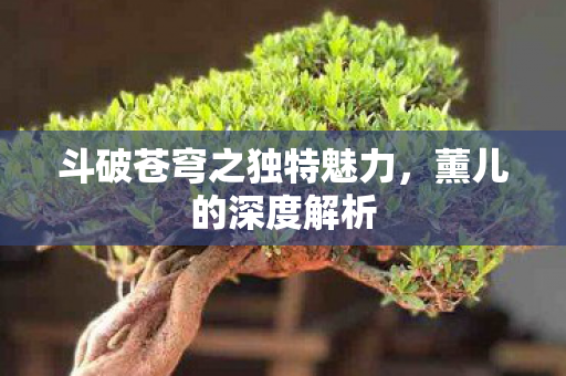 斗破苍穹之独特魅力,薰儿的深度解析 斗破苍穹之独特魅力,薰儿的深度解析