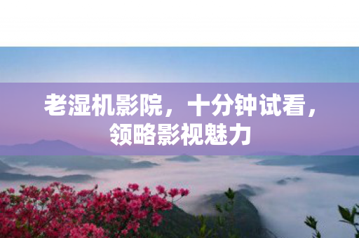老湿机影院，十分钟试看，领略影视魅力