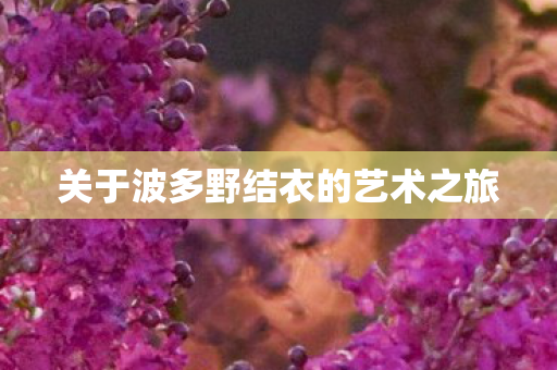 关于波多野结衣的艺术之旅 关于波多野结衣的艺术之旅