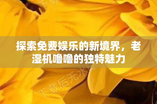 探索免费娱乐的新境界，老湿机噜噜的独特魅力