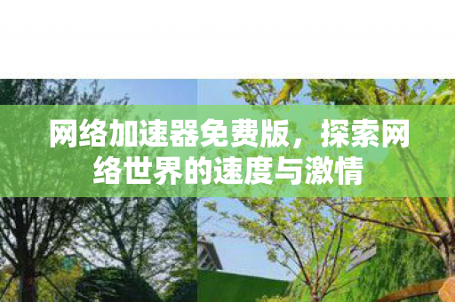 网络加速器免费版，探索网络世界的速度与激情
