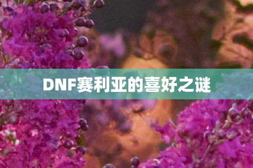DNF赛利亚的喜好之谜 DNF赛利亚的喜好之谜
