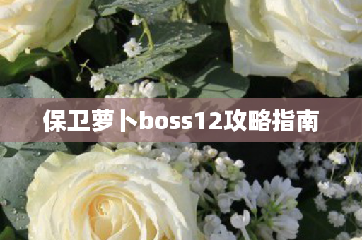 保卫萝卜boss12攻略指南 保卫萝卜boss12攻略指南