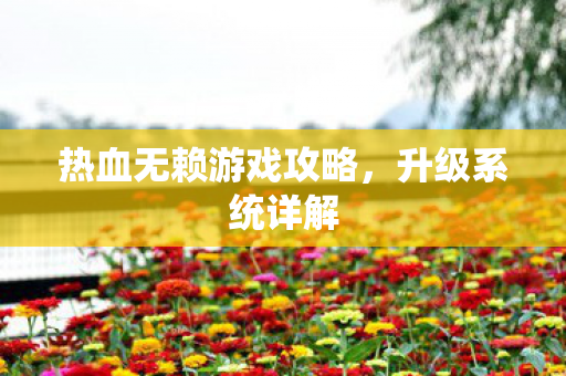 热血无赖游戏攻略，升级系统详解