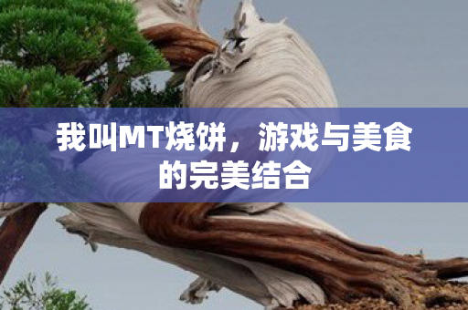 我叫MT烧饼,游戏与美食的完美结合 我叫MT烧饼,游戏与美食的完美结合