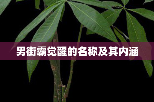 男街霸觉醒的名称及其内涵 男街霸觉醒的名称及其内涵