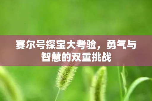 赛尔号探宝大考验,勇气与智慧的双重挑战 赛尔号探宝大考验,勇气与智慧的双重挑战