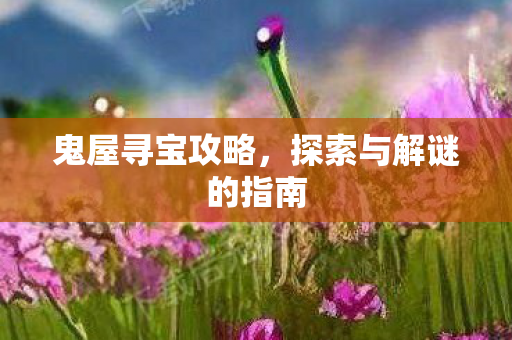 鬼屋寻宝攻略，探索与解谜的指南