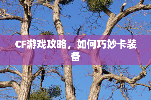 CF游戏攻略，如何巧妙卡装备