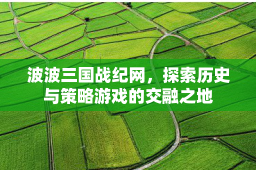 波波三国战纪网,探索历史与策略游戏的交融之地 波波三国战纪网,探索历史与策略游戏的交融之地