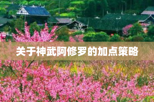 关于神武阿修罗的加点策略
