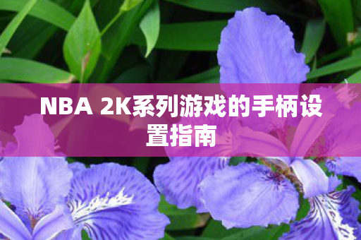 NBA 2K系列游戏的手柄设置指南 NBA 2K系列游戏的手柄设置指南