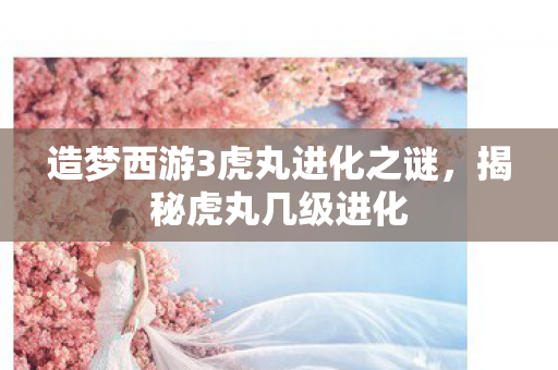 造梦西游3虎丸进化之谜，揭秘虎丸几级进化