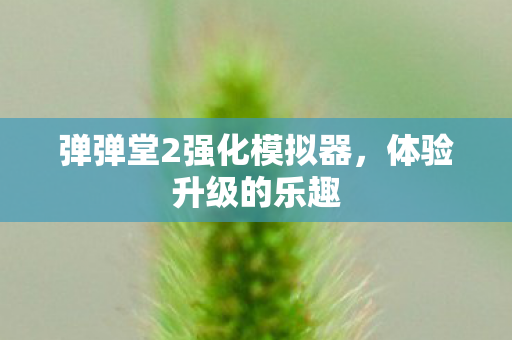 弹弹堂2强化模拟器,体验升级的乐趣 弹弹堂2强化模拟器,体验升级的乐趣