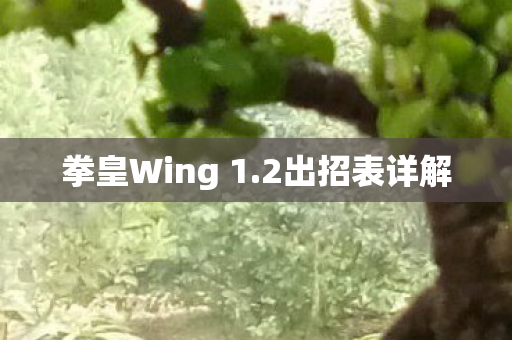 拳皇Wing 1.2出招表详解 拳皇Wing 1.2出招表详解