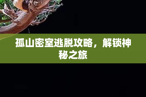 孤山密室逃脱攻略,解锁神秘之旅 孤山密室逃脱攻略,解锁神秘之旅